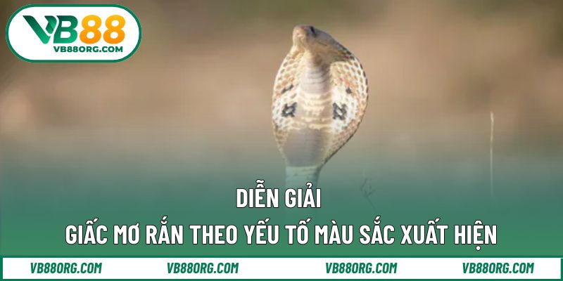 Diễn giải giấc mơ rắn theo yếu tố màu sắc xuất hiện