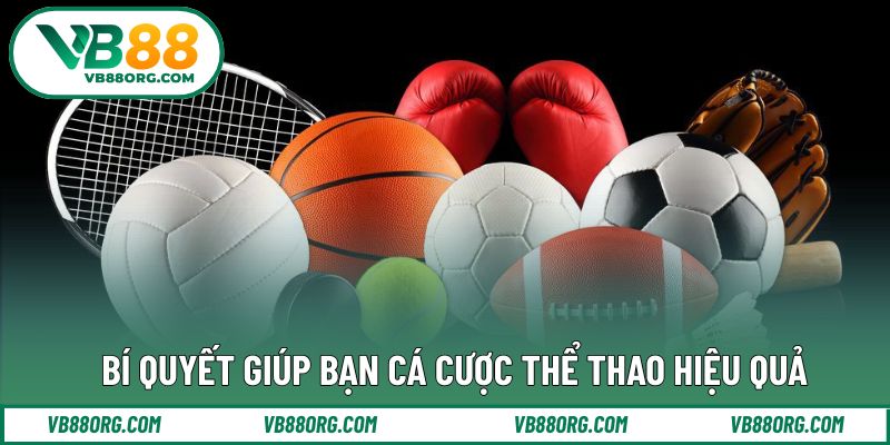 Kinh nghiệm tham gia hiệu quả dành cho thành viên