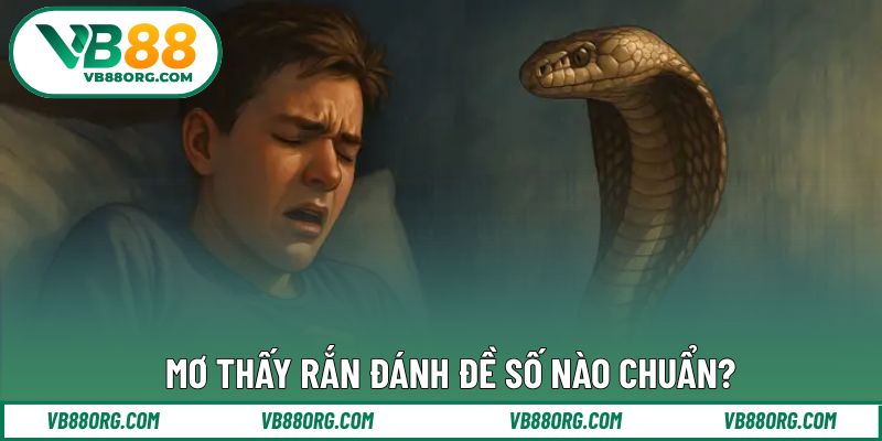 Mơ thấy rắn đánh đề số nào chuẩn?